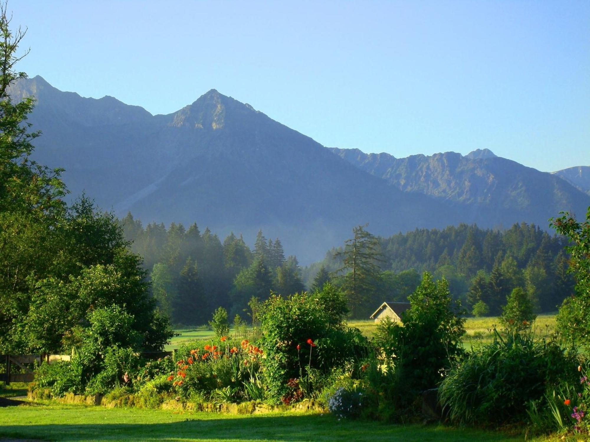 Apartament Nebelhorn Ofterschwang Zewnętrze zdjęcie